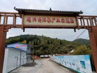 【灌阳县油茶产业示范区】一个有着充实的精神生活的人,对待身外之物自会有一种淡泊的态度 - 晋中28生活网 jz.28life.com