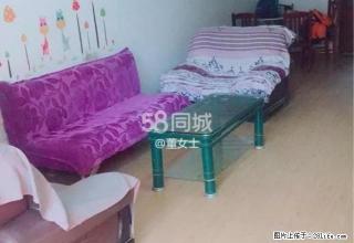 新晋世家 便宜租环境舒适的小区,随租随住 - 晋中28生活网 jz.28life.com