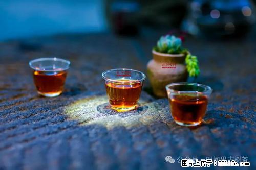 时间果百年古树2025年春红茶 - 购物交流 - 晋中生活社区 - 晋中28生活网 jz.28life.com