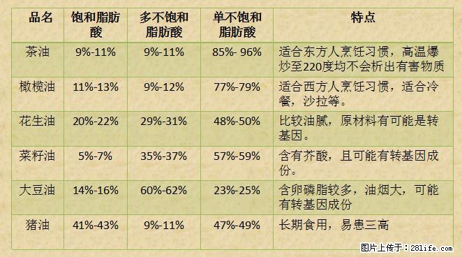 揭秘茶油的5大核心营养成分!被称为人体健康的“守护盾”! - 晋中生活资讯 - 晋中28生活网 jz.28life.com