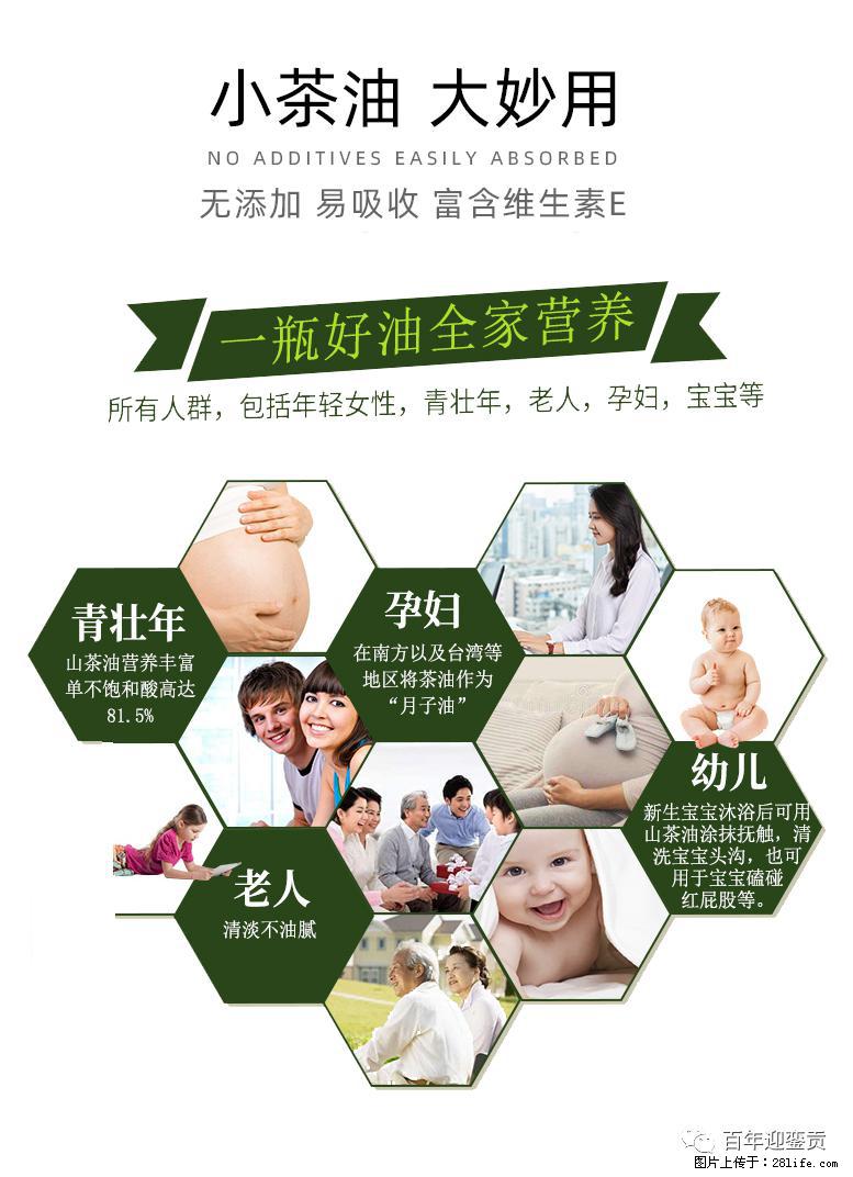 世界没有真相,只有认知,最好的食用油是中国的山茶油! - 晋中生活资讯 - 晋中28生活网 jz.28life.com