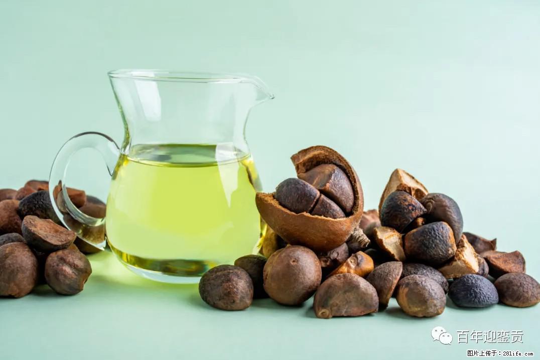 世界没有真相，只有认知，最好的食用油是中国的山茶油！ - 晋中生活资讯 - 晋中28生活网 jz.28life.com