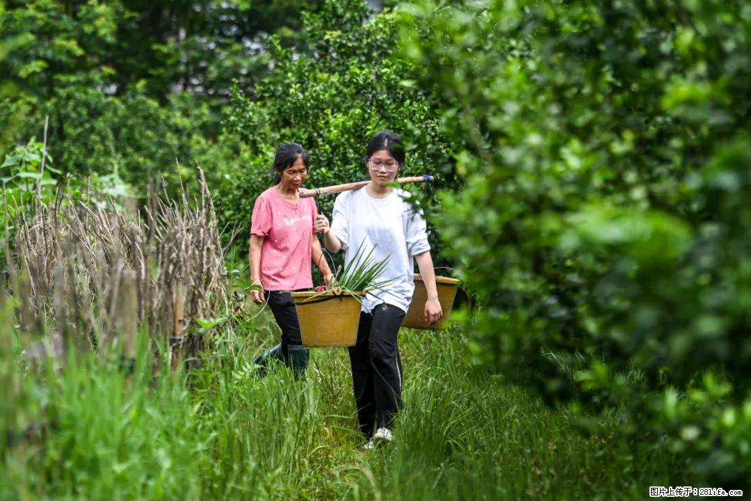 全网追的“扁担女孩”,找了一份暑假工,时薪12元 - 晋中生活资讯 - 晋中28生活网 jz.28life.com