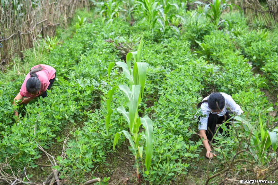 全网追的“扁担女孩”,找了一份暑假工,时薪12元 - 晋中生活资讯 - 晋中28生活网 jz.28life.com