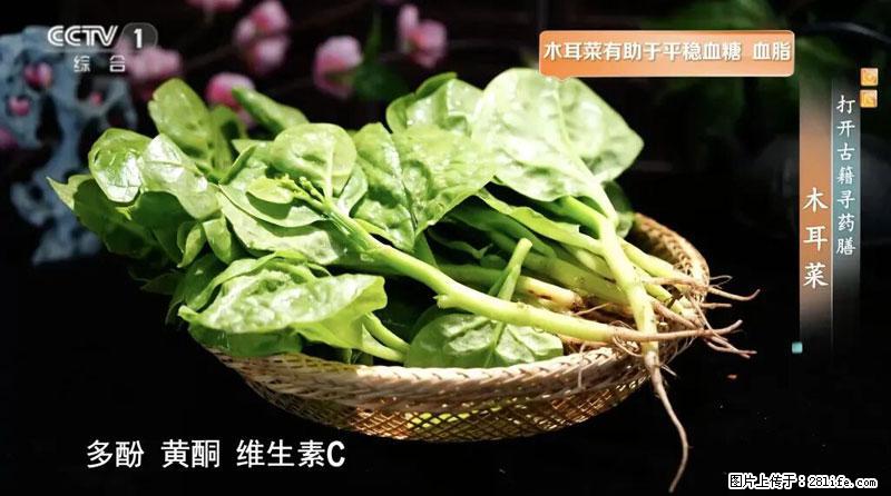 比牛奶补钙还厉害!凉血解毒、稳血糖...这菜冬天必吃,很多人却当草 - 晋中生活资讯 - 晋中28生活网 jz.28life.com