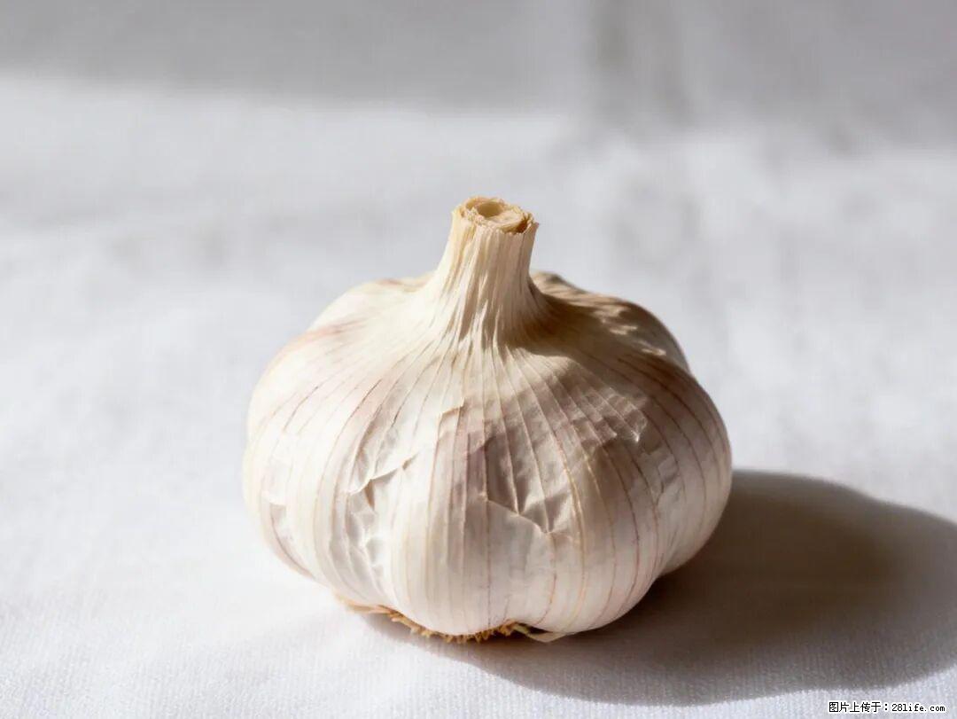 关于大蒜，除了“天然抗生素”，这4个谣言更该警惕! - 晋中生活资讯 - 晋中28生活网 jz.28life.com