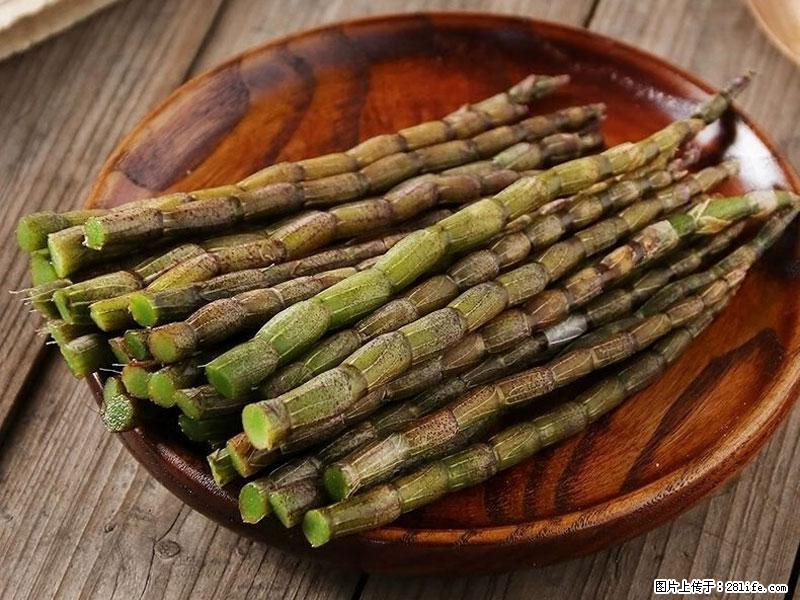 铁皮石斛的作用与功能主治 - 晋中生活资讯 - 晋中28生活网 jz.28life.com